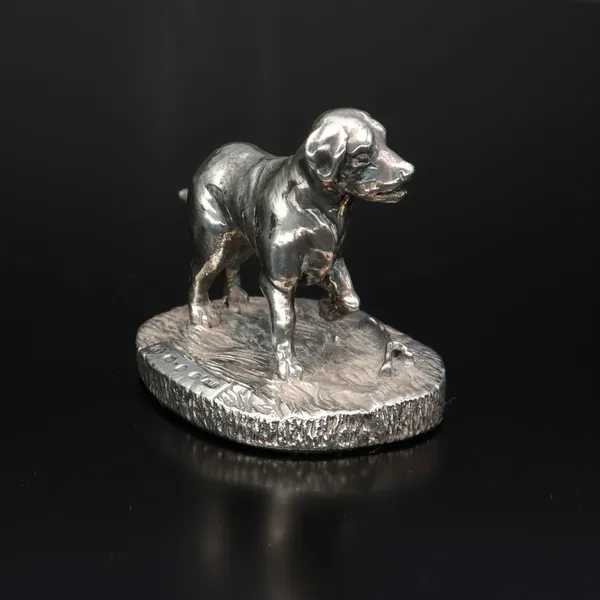 Naturalistic Model of a Labrador
