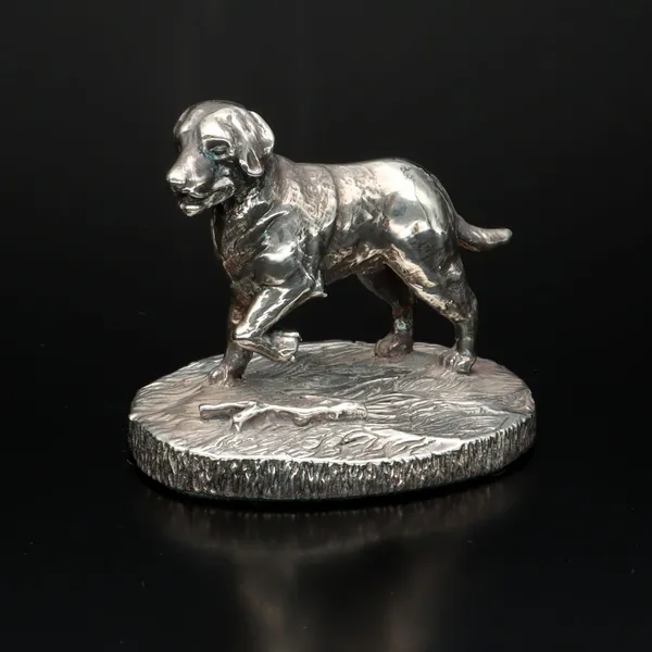 Naturalistic Model of a Labrador