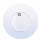Royal Worcester Aesthetic Movement Plate