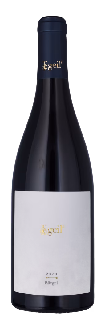 SPÄTBURGUNDER BÜRGEL TROCKEN Weingut Geils, Rheinhessen