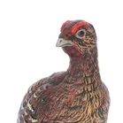 Cold Painted Grouse