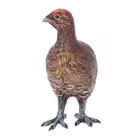 Cold Painted Grouse