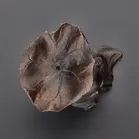 Bronze Figurine With Lotus Leaf