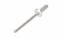 RIVET