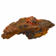 Crocoiet ruw nr 2 - 360° presentation