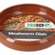 Mealworm Dish Earth Brown - 360° presentation
