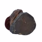 19th Century Franz Bergman Bronze Owl Pin Cushion