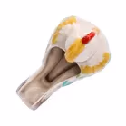 Clarice Cliff Bird Pipe Rest