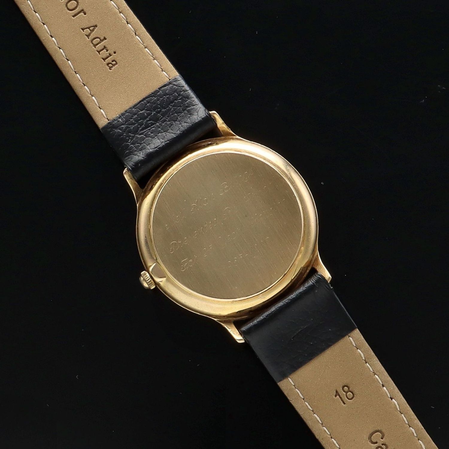 Titus sale watch company