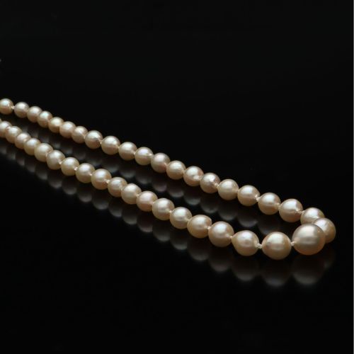 9ct Gold Clasp Graduated Re-Strung Cultured Pearls image-1