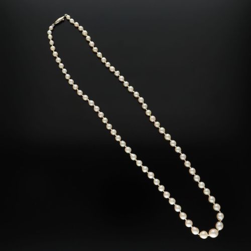 9ct Gold Clasp Graduated Re-Strung Cultured Pearls image-3