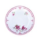 Early 20th Century KPM Berlin Tea Cup and Saucer