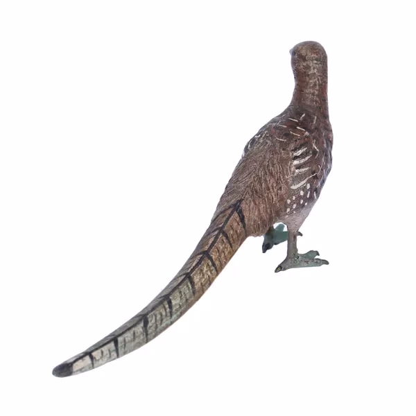 Cold Painted Austrian Bronze Figure of a Pheasant Hen