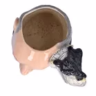 Royal Doulton Alfred Hithcock Large Jug