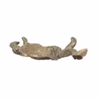 Geschutzt Bronze Cat Pin Dish