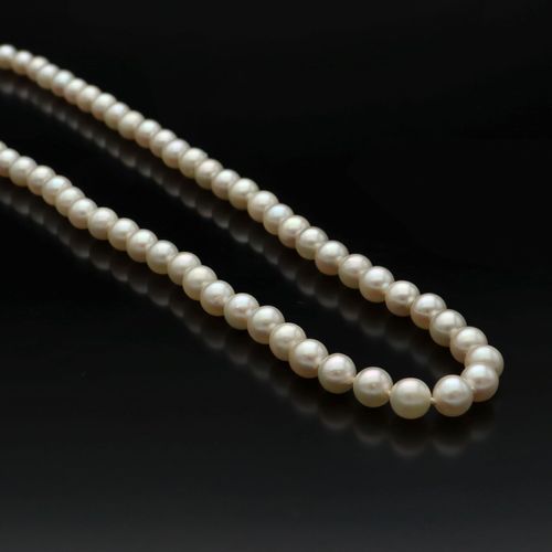 18ct Gold Clasp Cultured Pearls image-1