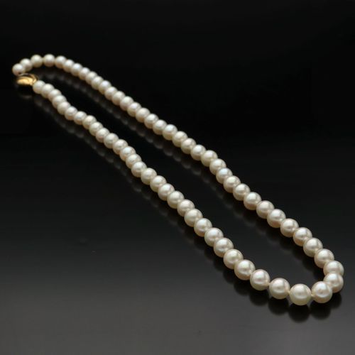 18ct Gold Clasp Cultured Pearls image-2