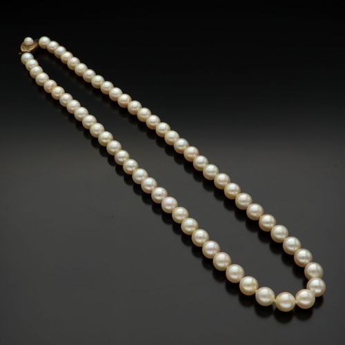 9ct Gold Cultured Pearl Necklace image-1