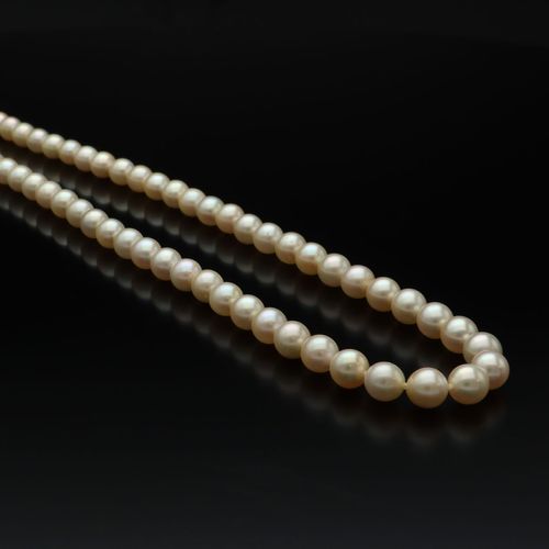 9ct Gold Cultured Pearl Necklace image-3