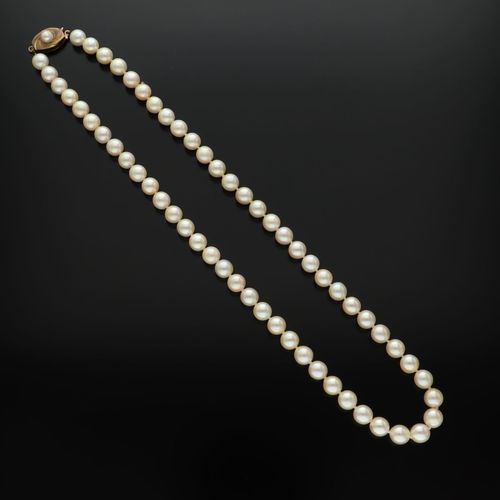 9ct Gold Cultured Pearl Necklace image-2