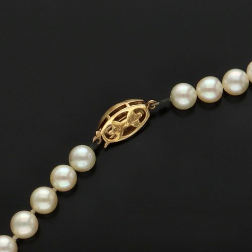 9ct Gold Cultured Pearl Necklace image-6