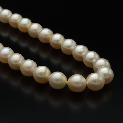 9ct Gold Cultured Pearl Necklace image-4