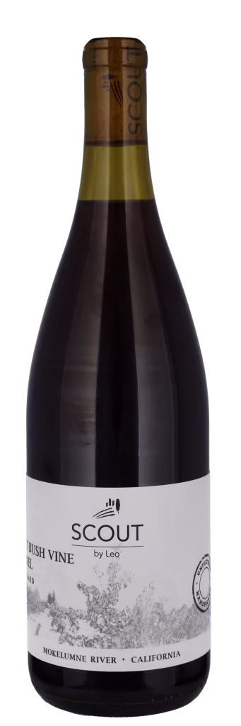 ANCIENT BUSH VINE ZINFANDEL, LING ESTATE VINEYARD Mokelumne River, Scout by Leo