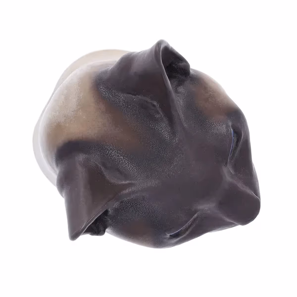 Unusual Royal Copenhagen Aluminia Faience Cat Head.