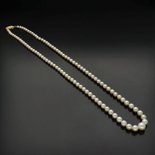 9ct Gold Clasp Re Strung Cultured Pearls image-2