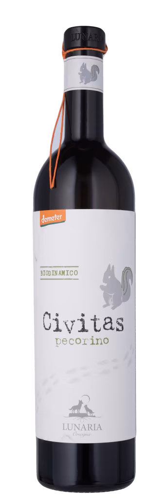 CIVITAS PECORINO BIO Terre di Chieti IGP, Cantina Orsogna, Abruzzo
