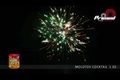 Molotov Cocktail - Video