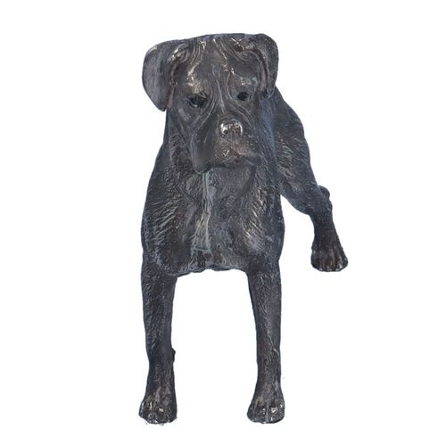 Naturalistic Silver Filled Model of a Boxer Dog image-5