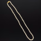Short Cultured Pearl Necklace