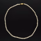 Short Cultured Pearl Necklace